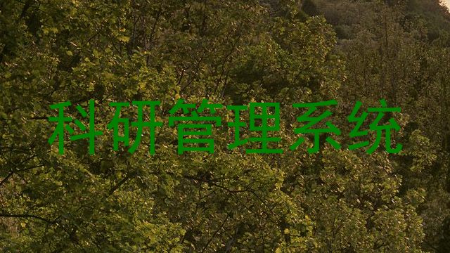 科研管理系统