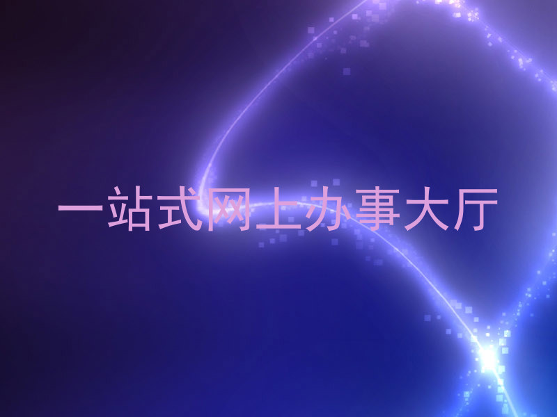 一站式网上办事大厅
