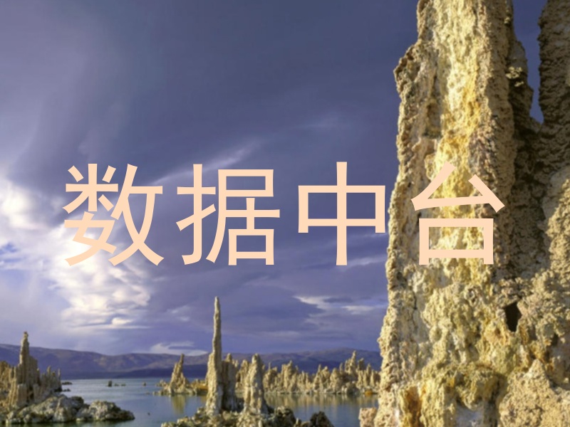数据中台