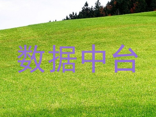 数据中台