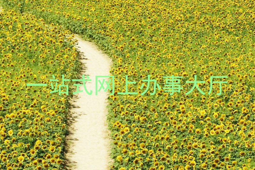 一站式网上办事大厅