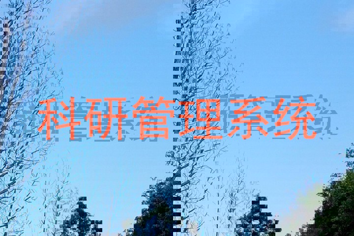 科研管理系统