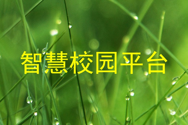 智慧校园平台