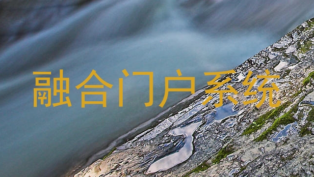 融合门户系统