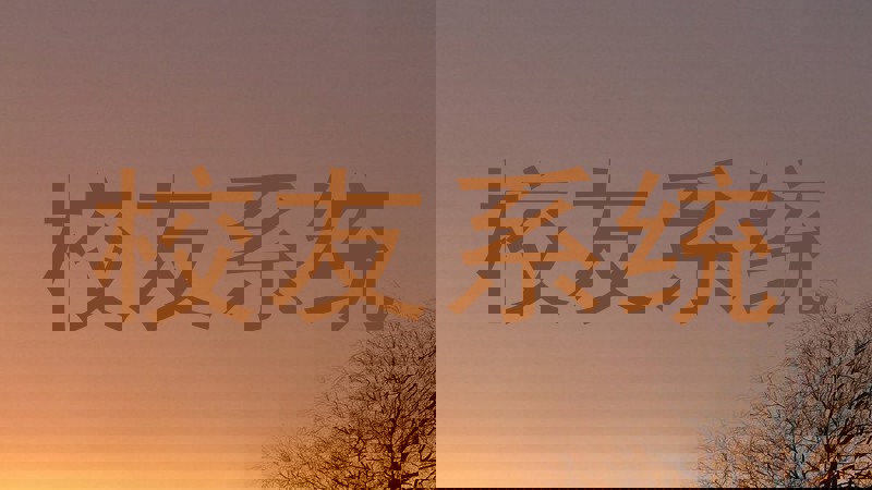 校友系统