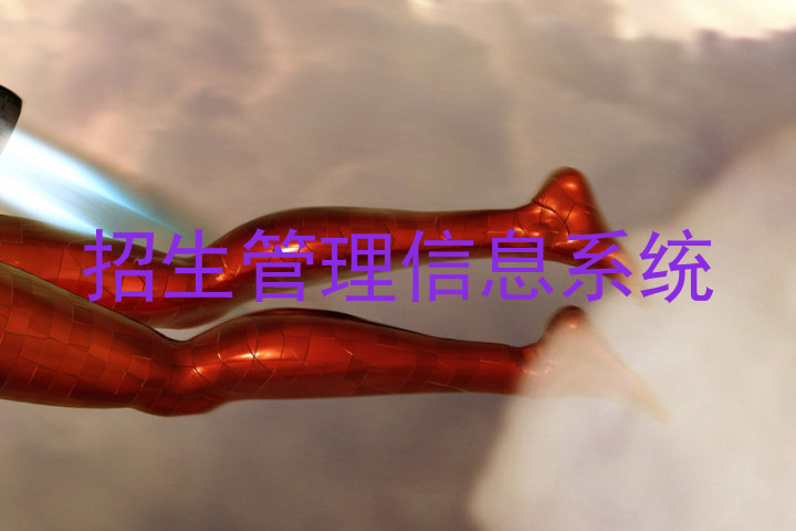 招生管理信息系统