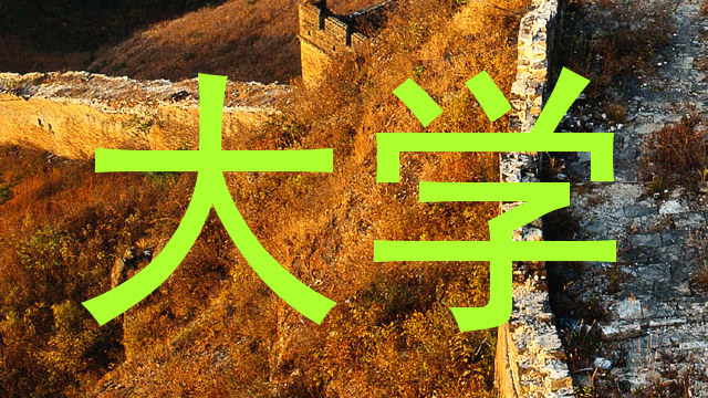 大学