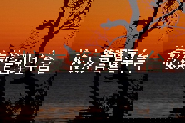 校友管理平台