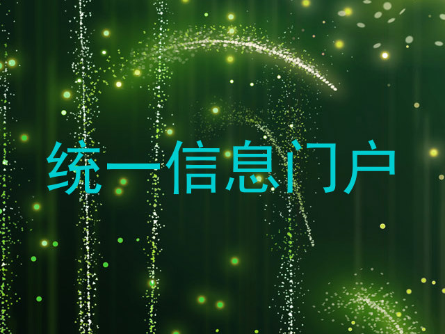 统一信息门户
