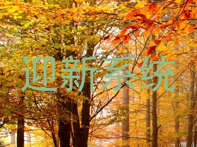 迎新系统