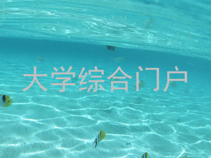 大学综合门户