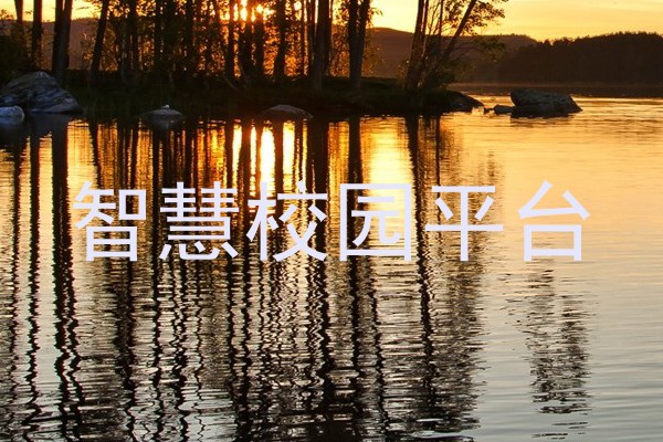 智慧校园平台