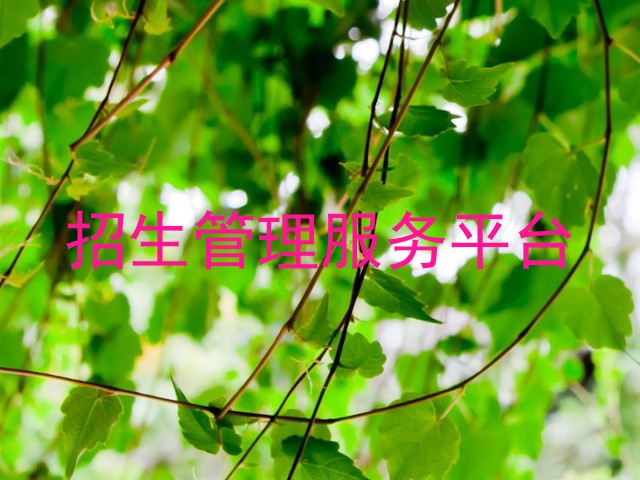 招生管理服务平台