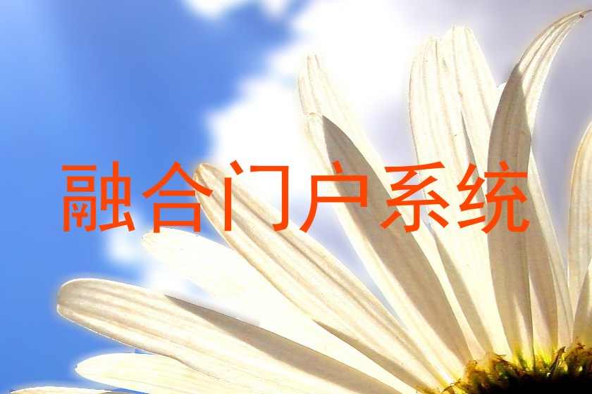 融合门户系统