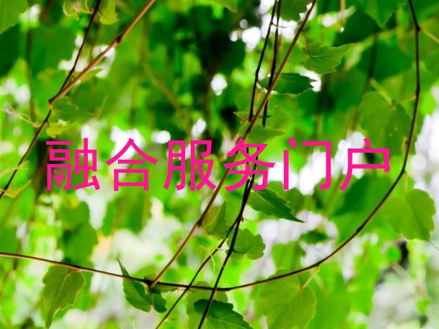 融合服务门户