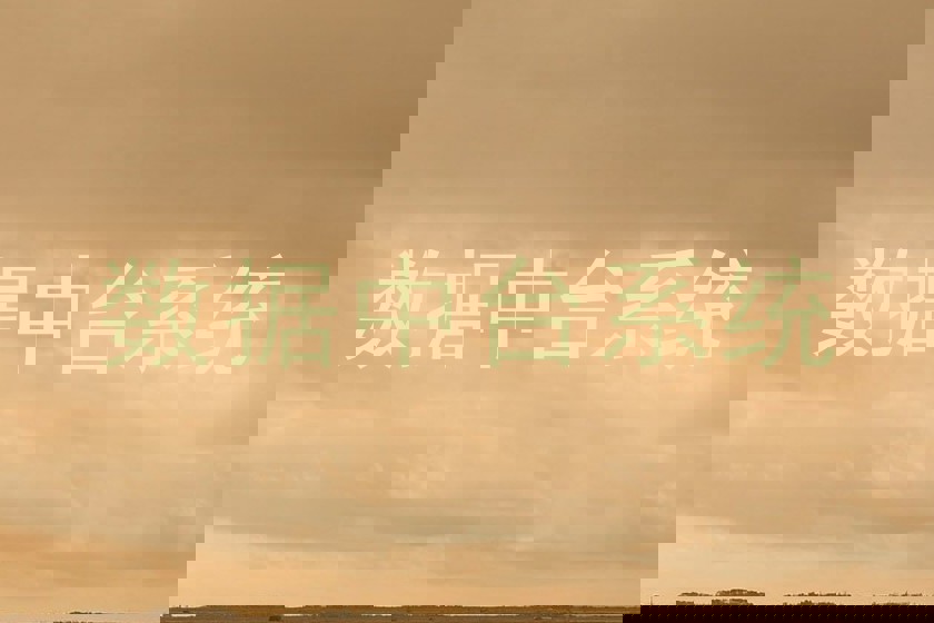 数据中台系统
