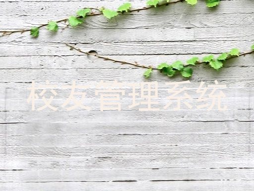校友管理系统