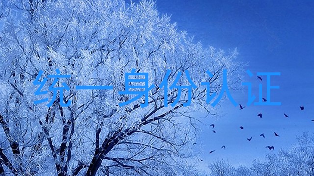 统一身份认证