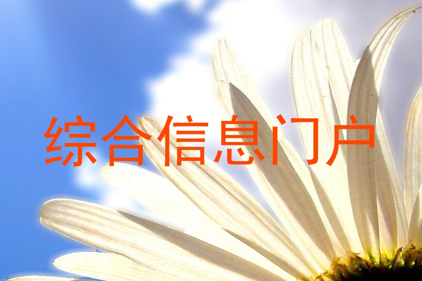 综合信息门户