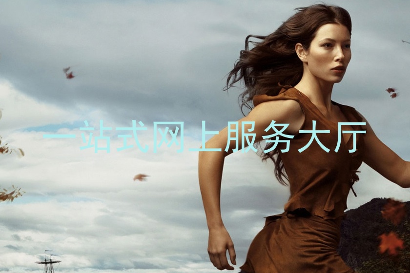一站式网上服务大厅