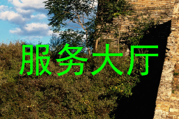 服务大厅