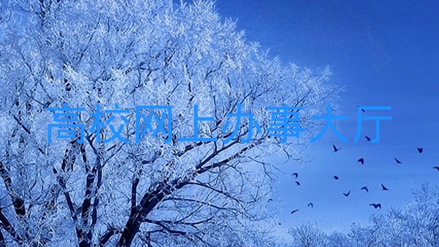 高校网上办事大厅
