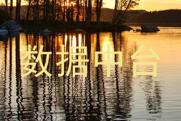 数据中台