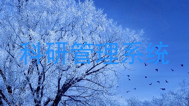 科研管理系统
