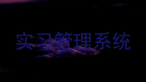 实习管理系统