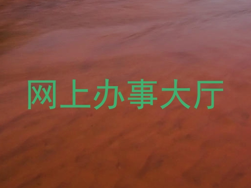 网上办事大厅