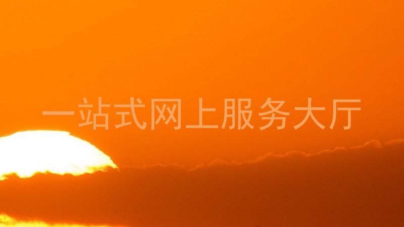 一站式网上服务大厅