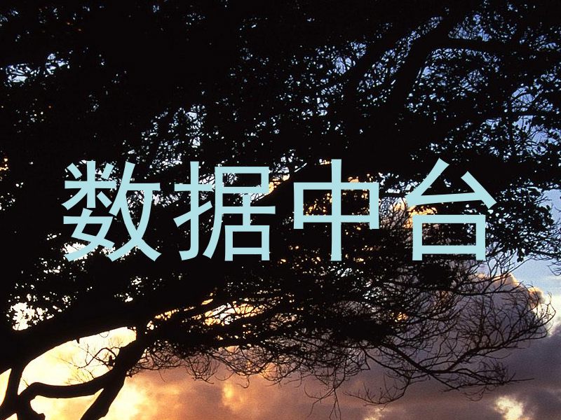 数据中台