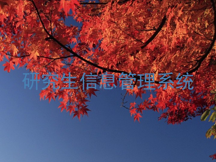 研究生信息管理系统