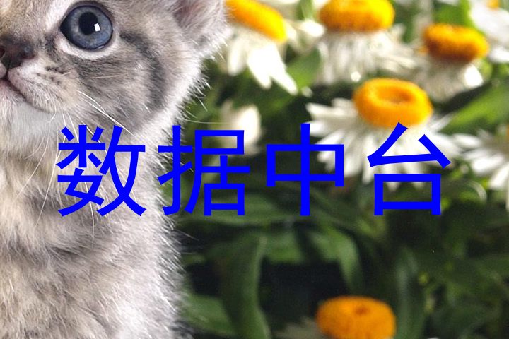 数据中台