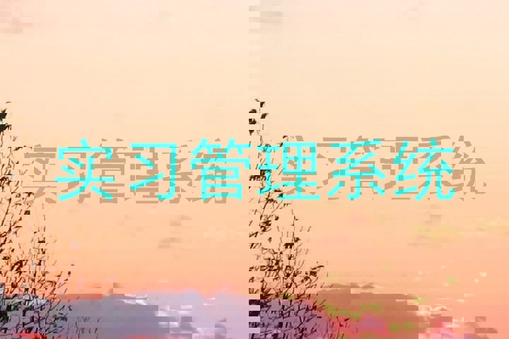 实习管理系统