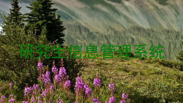 研究生信息管理系统