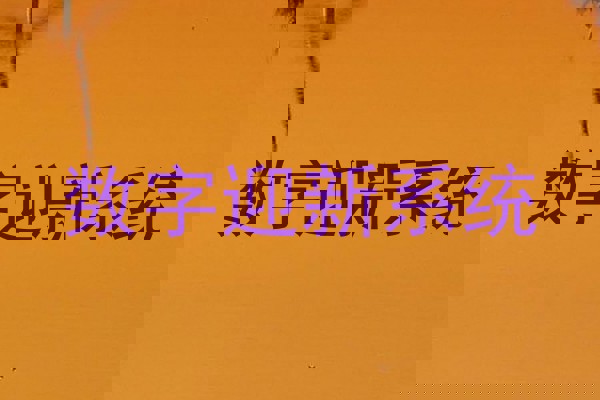 数字迎新系统