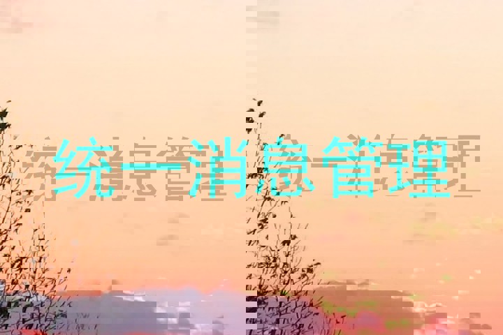 统一消息管理
