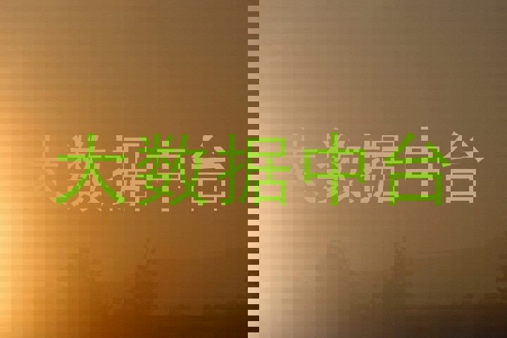 大数据中台