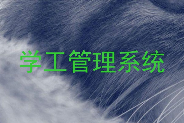 学工管理系统