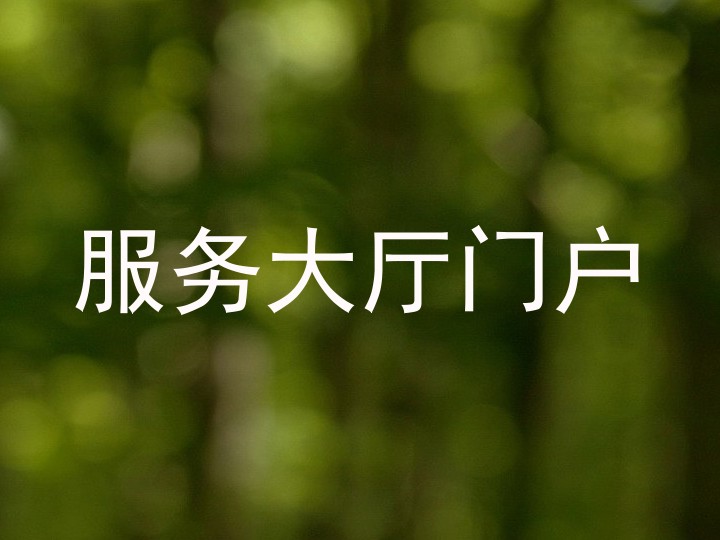 服务大厅门户