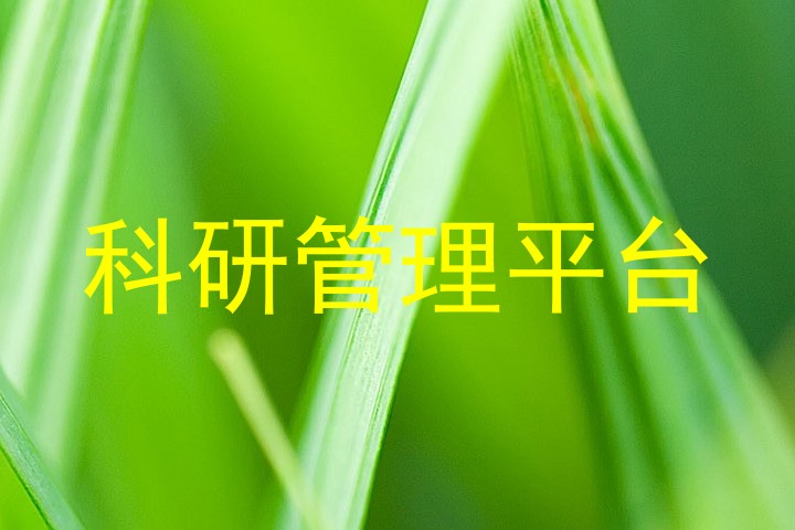 科研管理平台