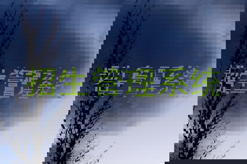 招生管理系统