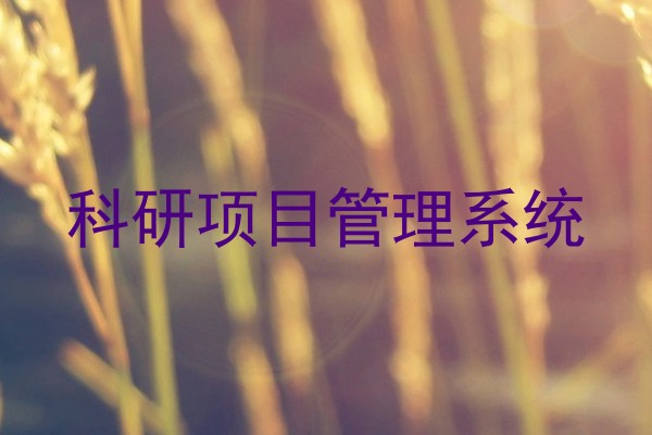 科研项目管理系统