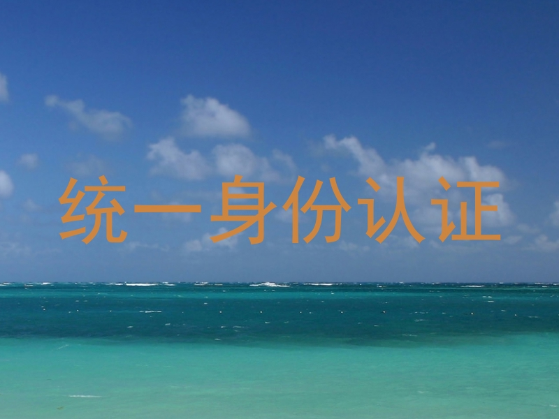 统一身份认证