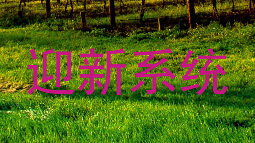 迎新系统