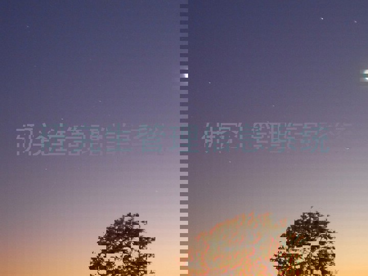 研究生管理信息系统