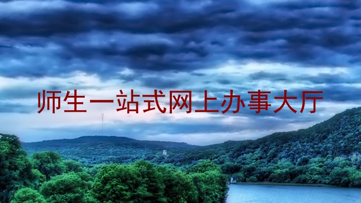 师生一站式网上办事大厅