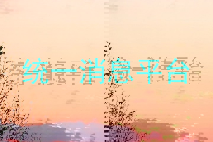 统一消息平台