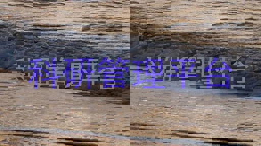 科研管理平台